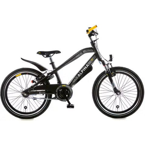 Alpina Trial 20 inch Jongens Alpina Trial 20 inch Jongens