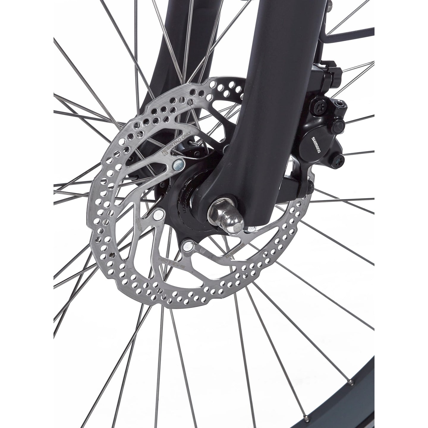 Cortina E-Nite MM LTD N7 2024 Dames - Fietsenconcurrent.nl Cortina E-Nite MM LTD N7 2024 Dames - Fietsenconcurrent.nl