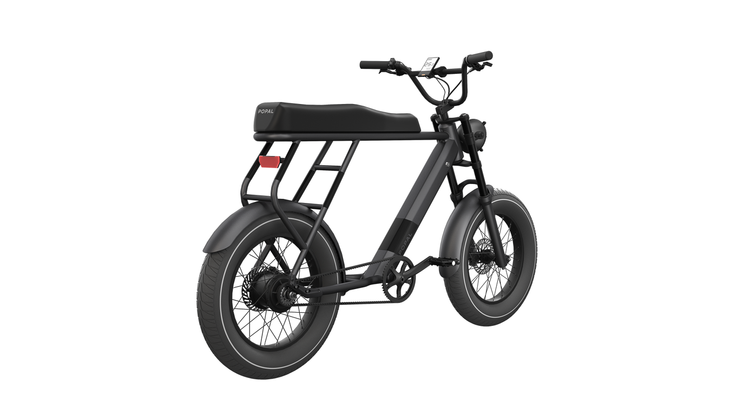 Popal GTX 2025 - Fietsenconcurrent.nl