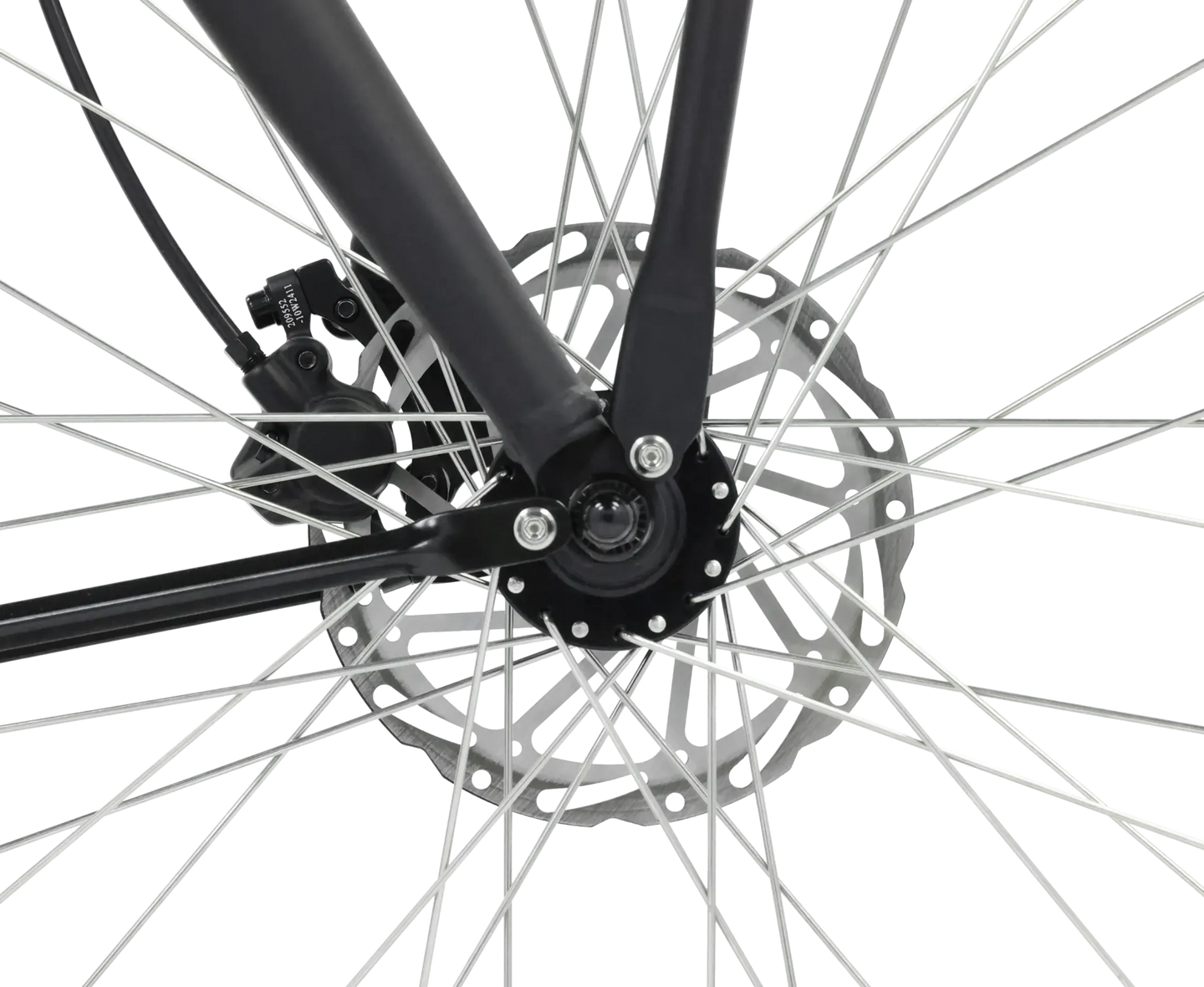 Popal ROYL1 2025 Dames - Fietsenconcurrent.nl