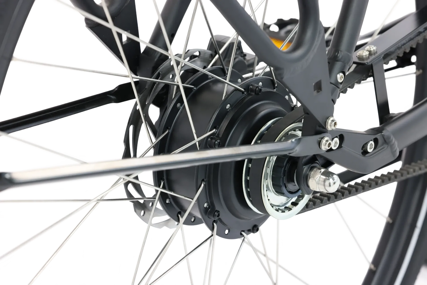Popal ROYL1 2025 Dames - Fietsenconcurrent.nl