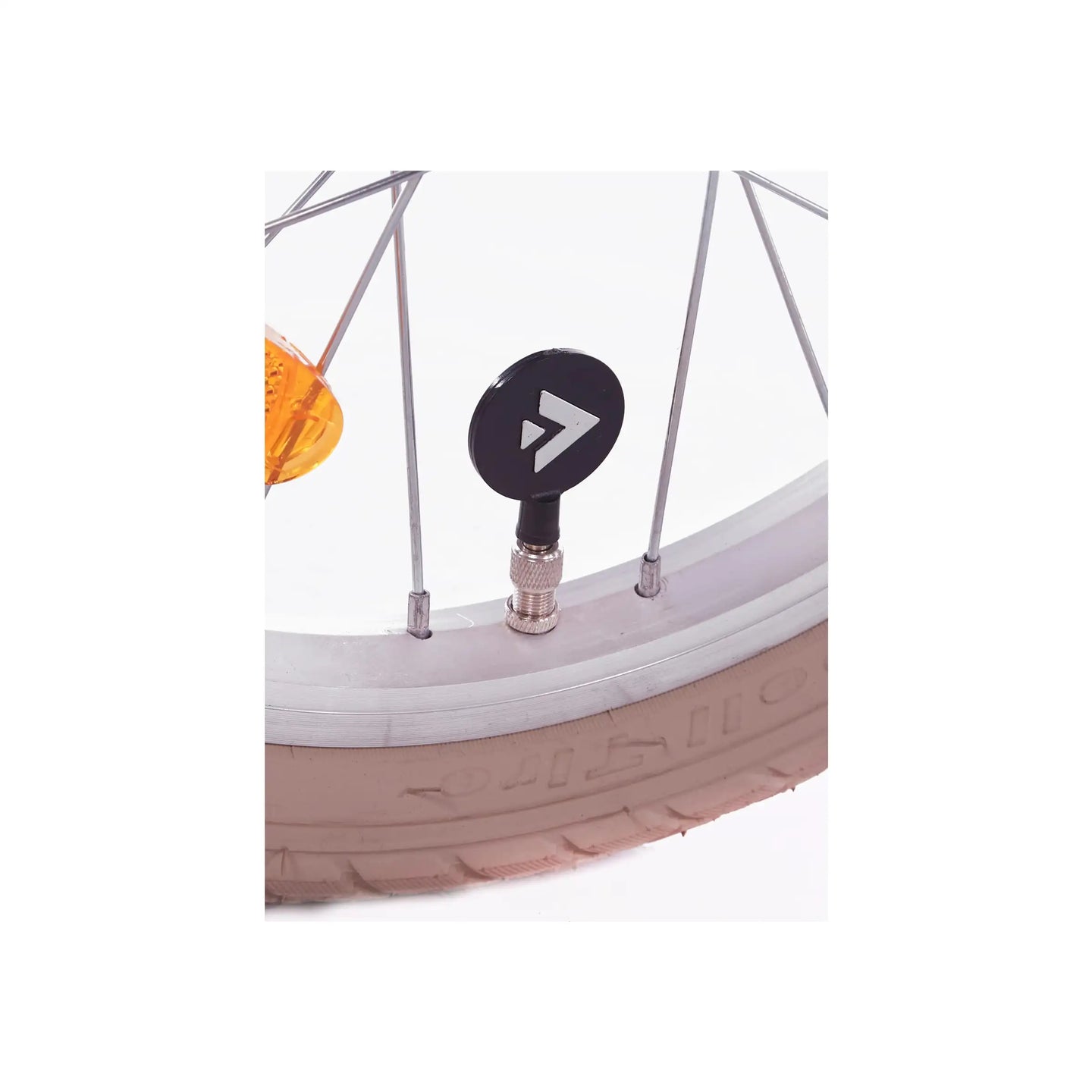 Alpina Cargo 18 inch 2025 Meisjes