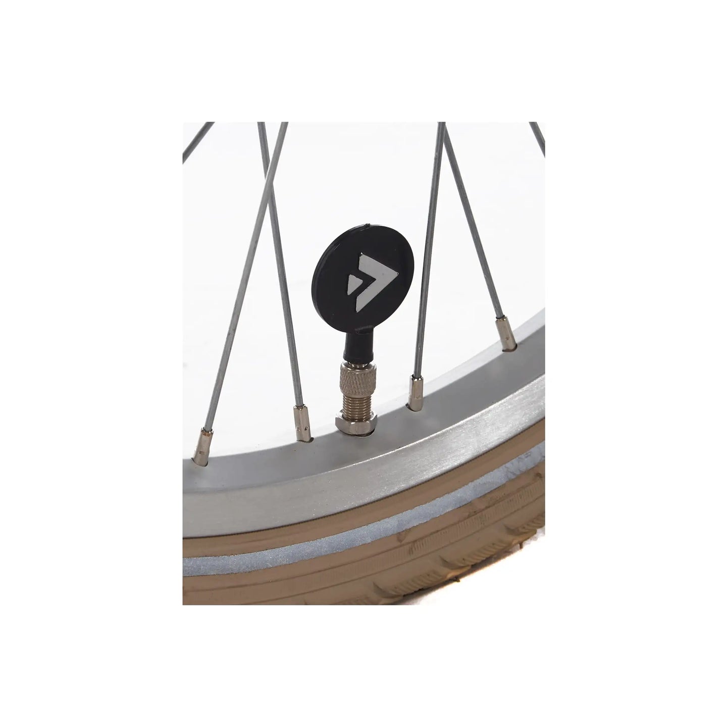 Alpina Cargo 20 inch 2026 Meisjes