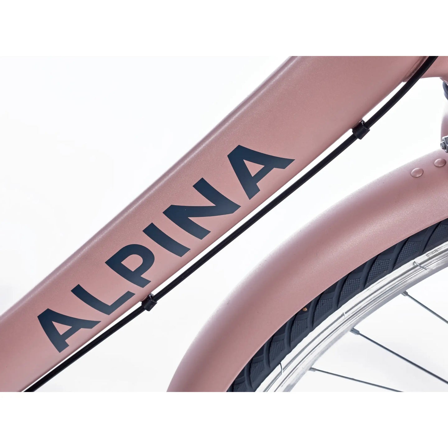 Alpina Clubb 24 inch 2026 Meisjes