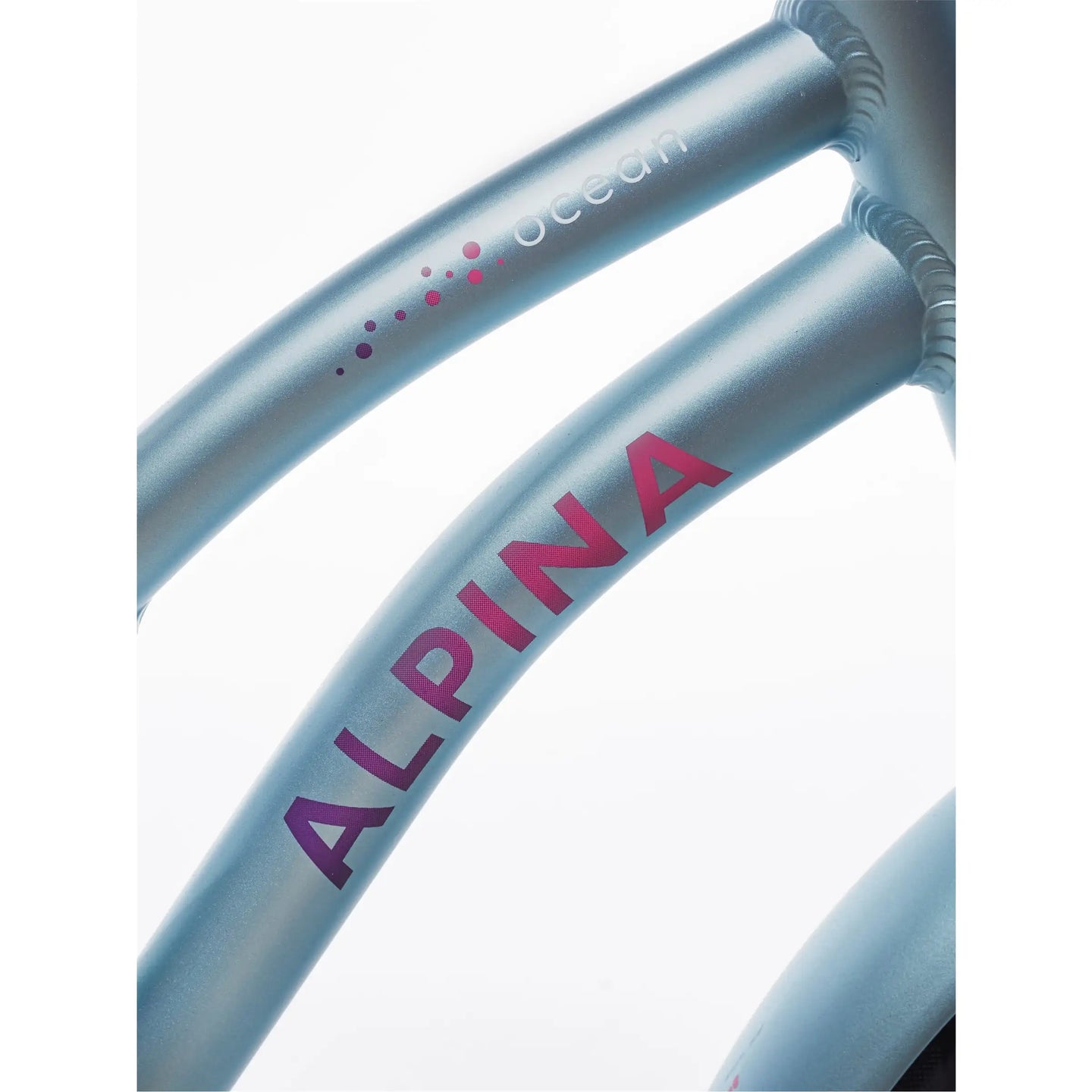 Alpina Ocean 22 inch 2025 Meisjes