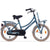 Alpina Cargo 16 inch 2023 Meisjes - Fietsenconcurrent.nl