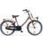 Alpina Clubb 22 inch 2023 Meisjes - Fietsenconcurrent.nl