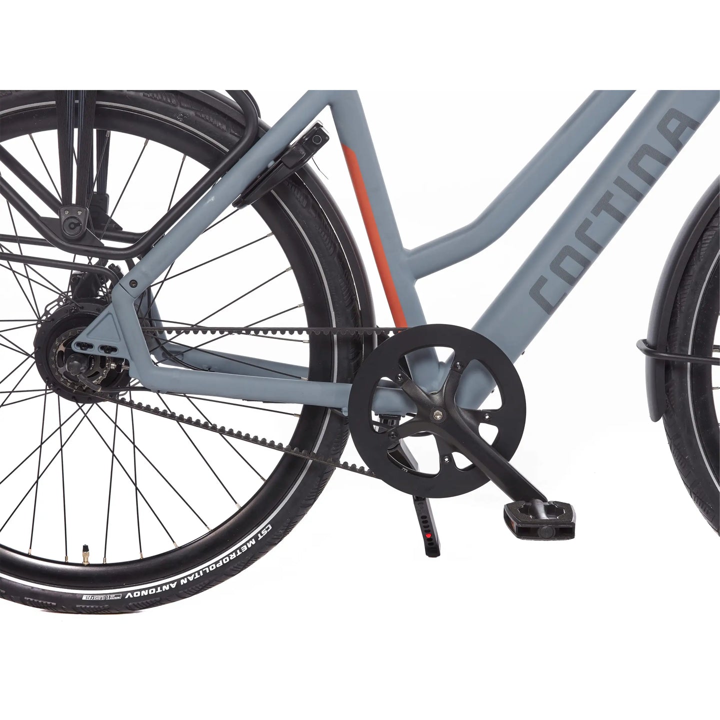 Cortina E-Lett 2026 Dames