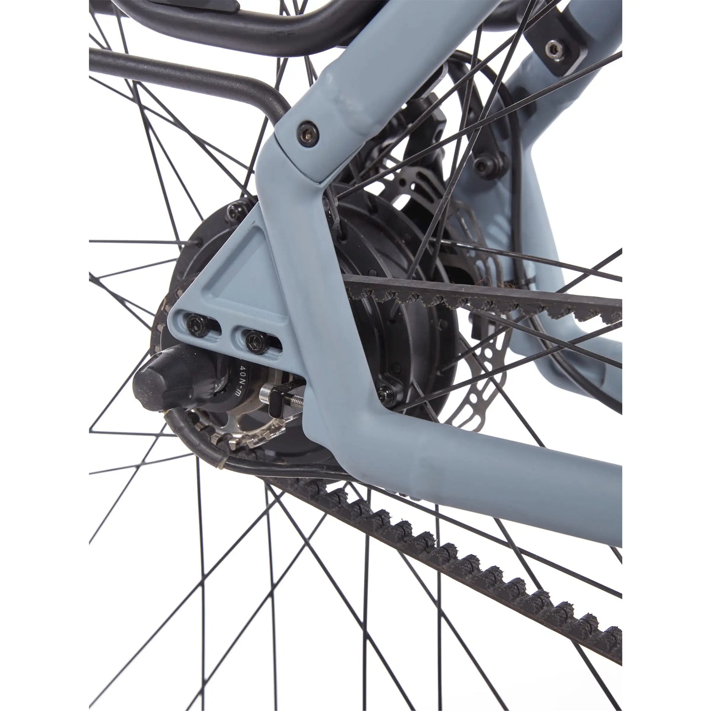 Cortina E-Lett 2026 Dames