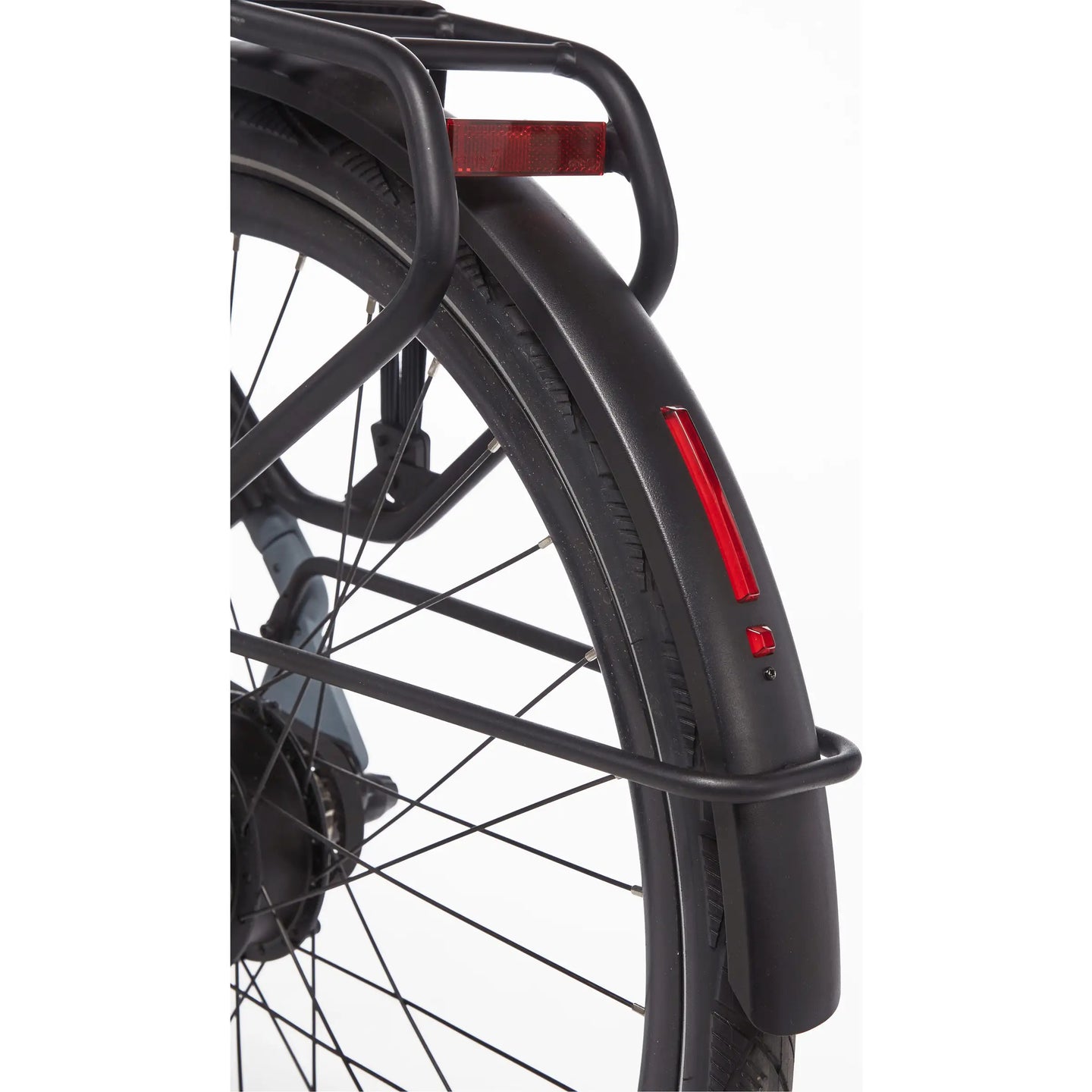 Cortina E-Lett 2026 Dames