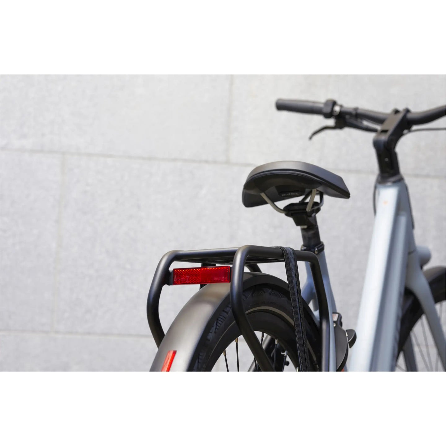 Cortina E-Lett 2026 Dames