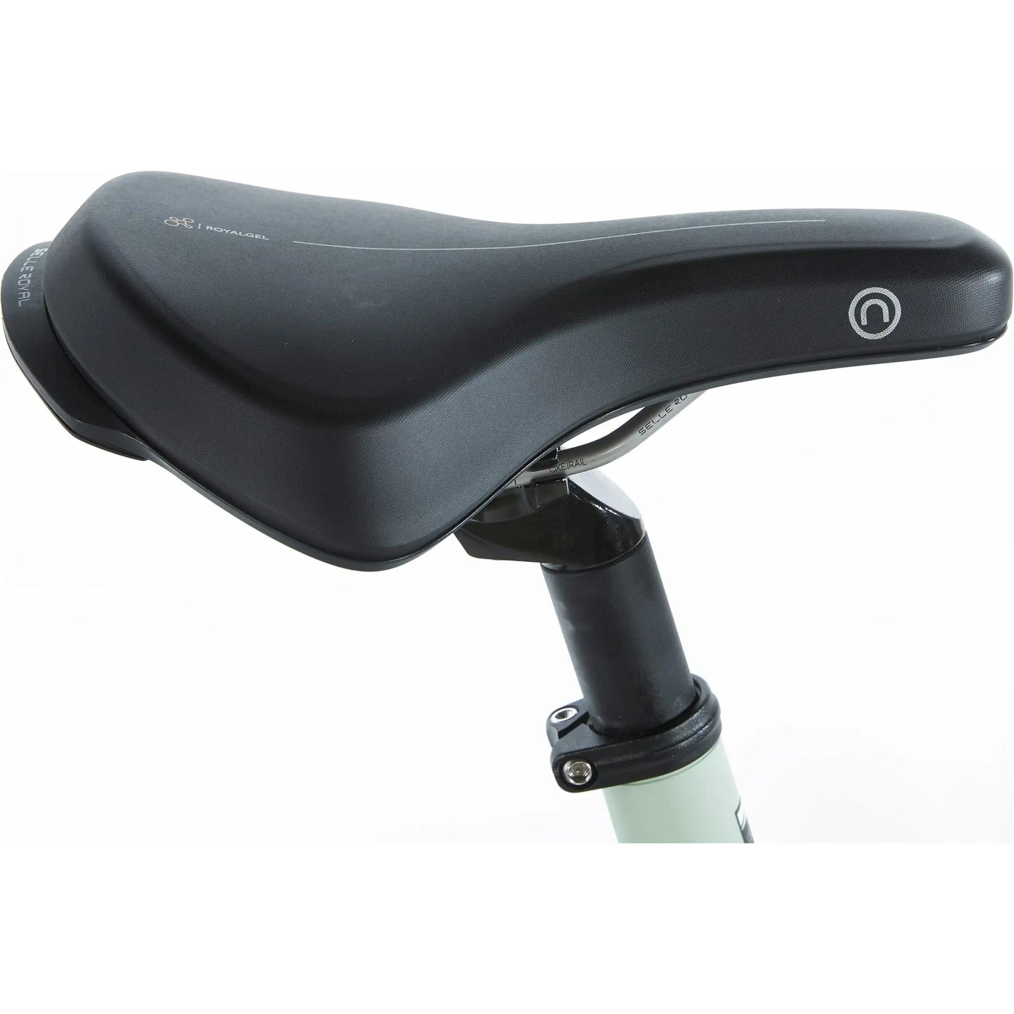 Cortina E-Lett 2026 Dames