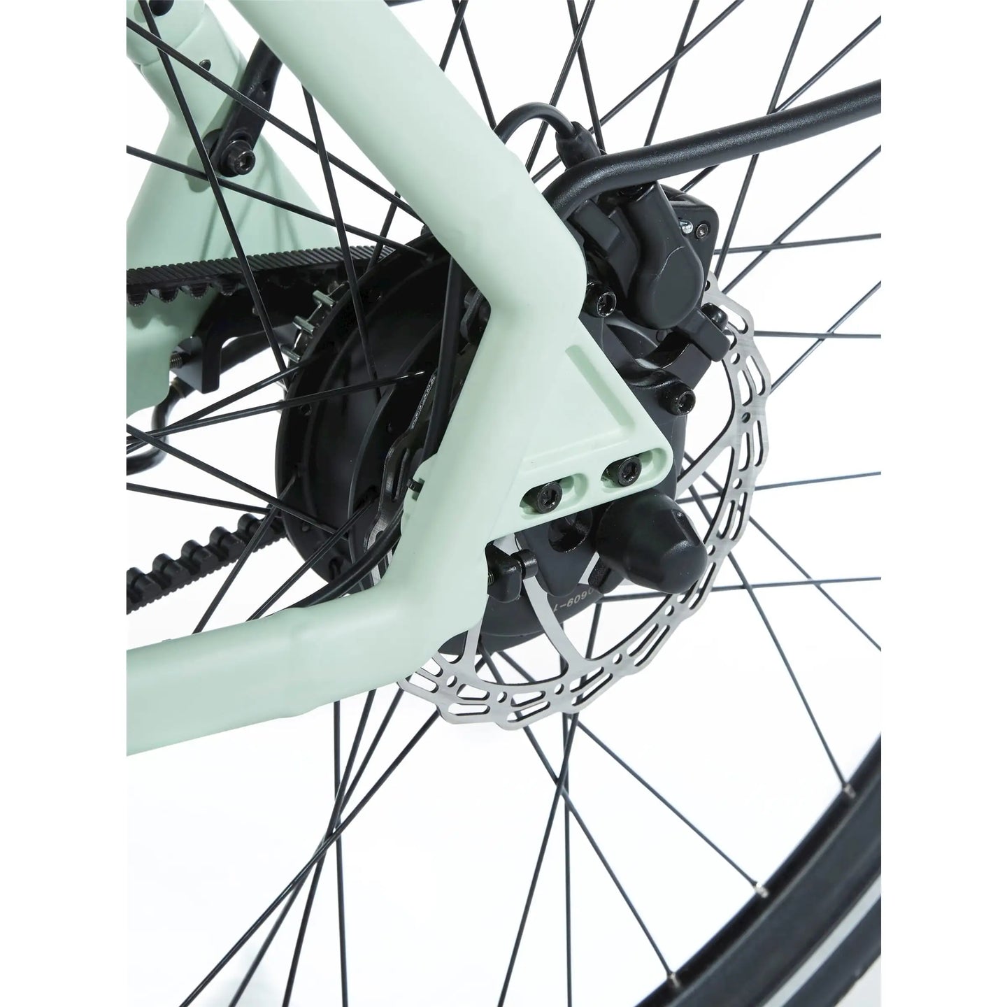 Cortina E-Lett 2026 Dames