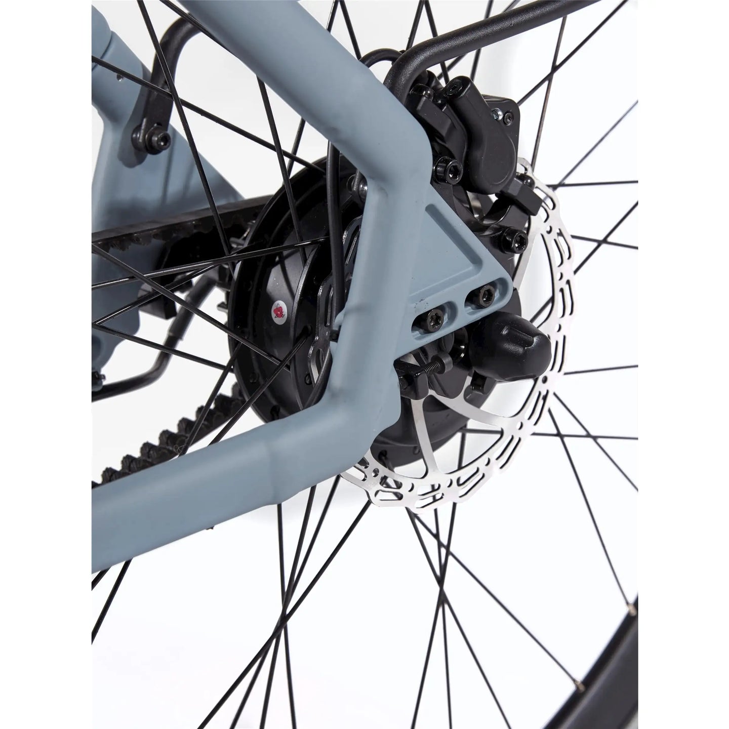 Cortina E-Lett 2026 Heren