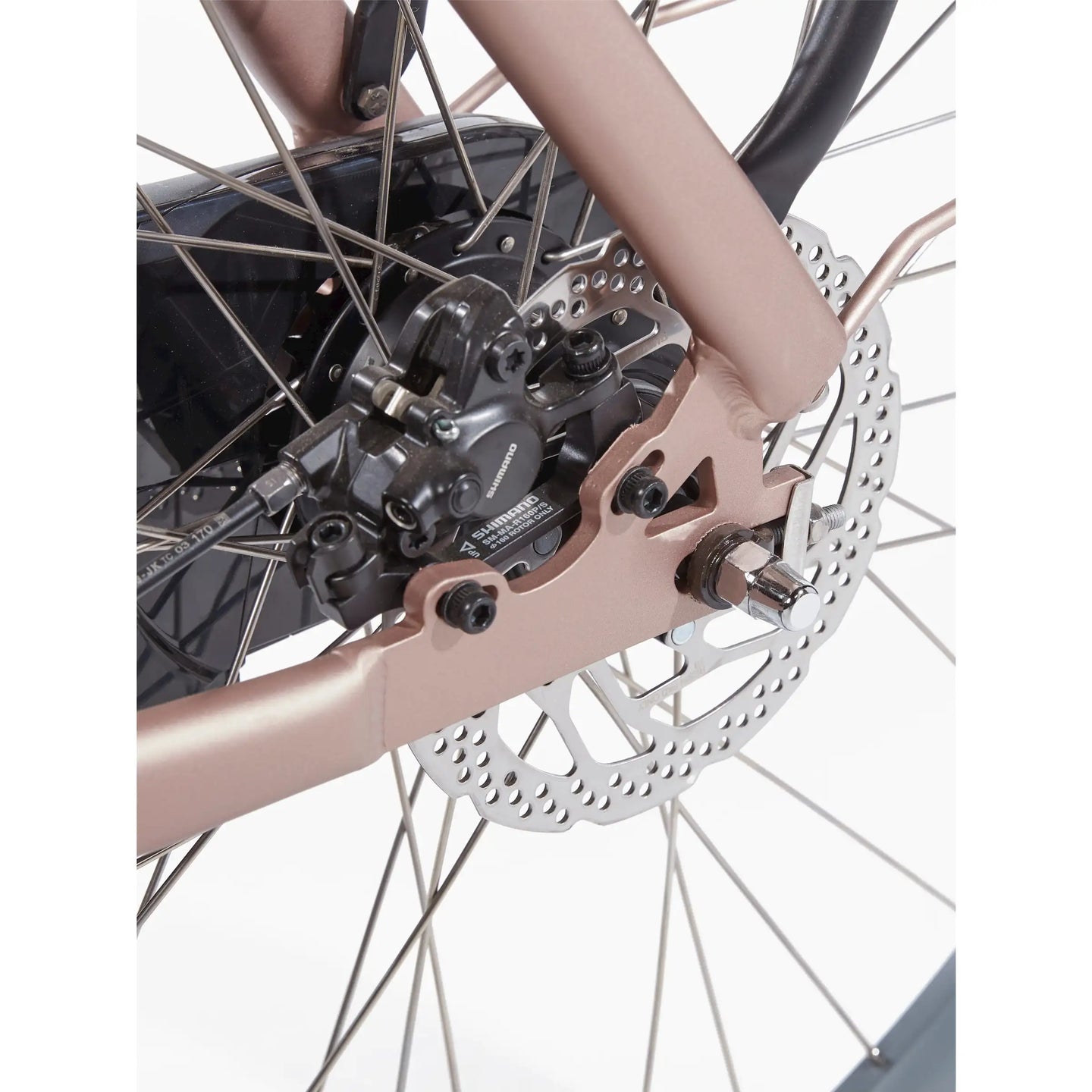 Cortina E-Nite MM SN7 2026 Dames