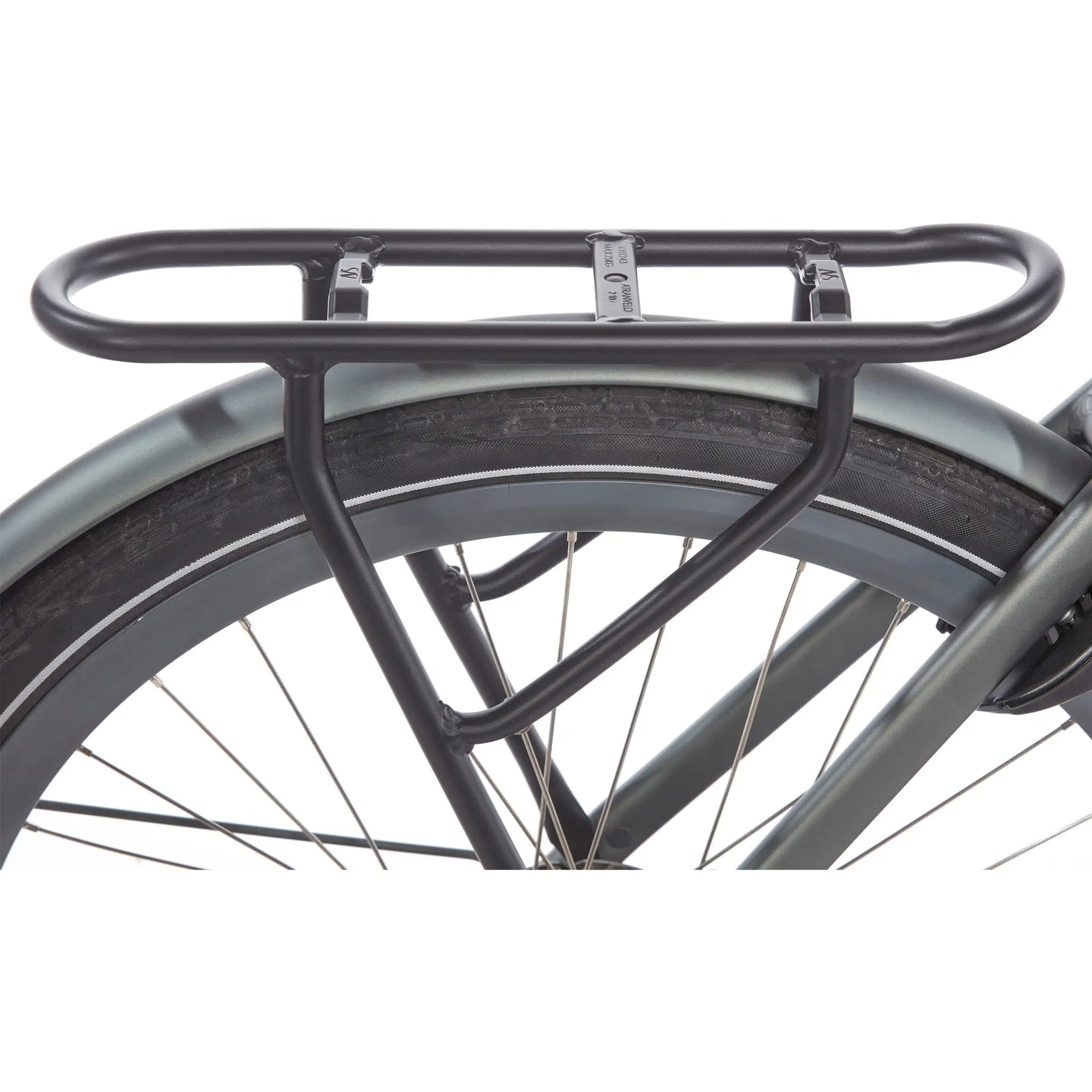 Cortina E-Nite MM SN7 2026 Dames