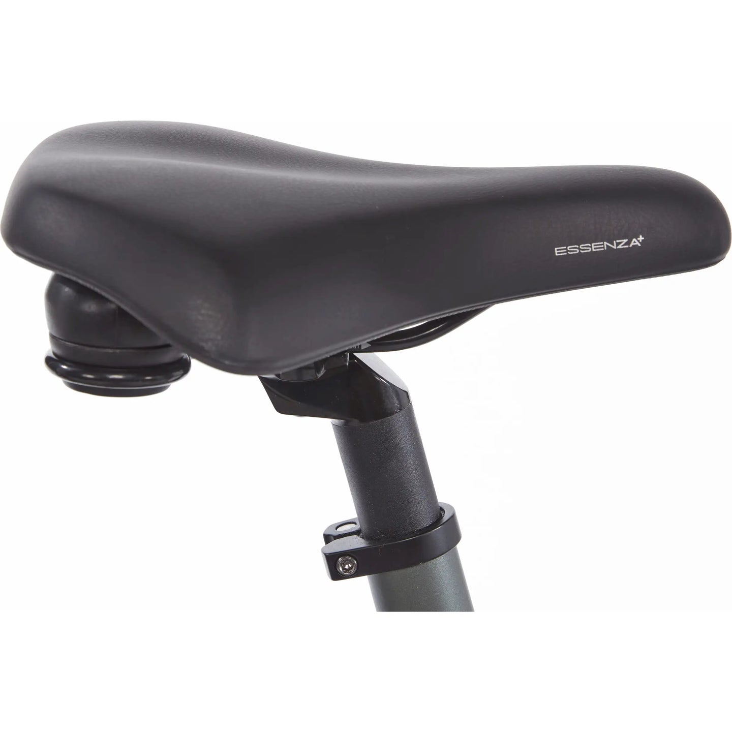 Cortina E-Nite MM SN7 2026 Dames