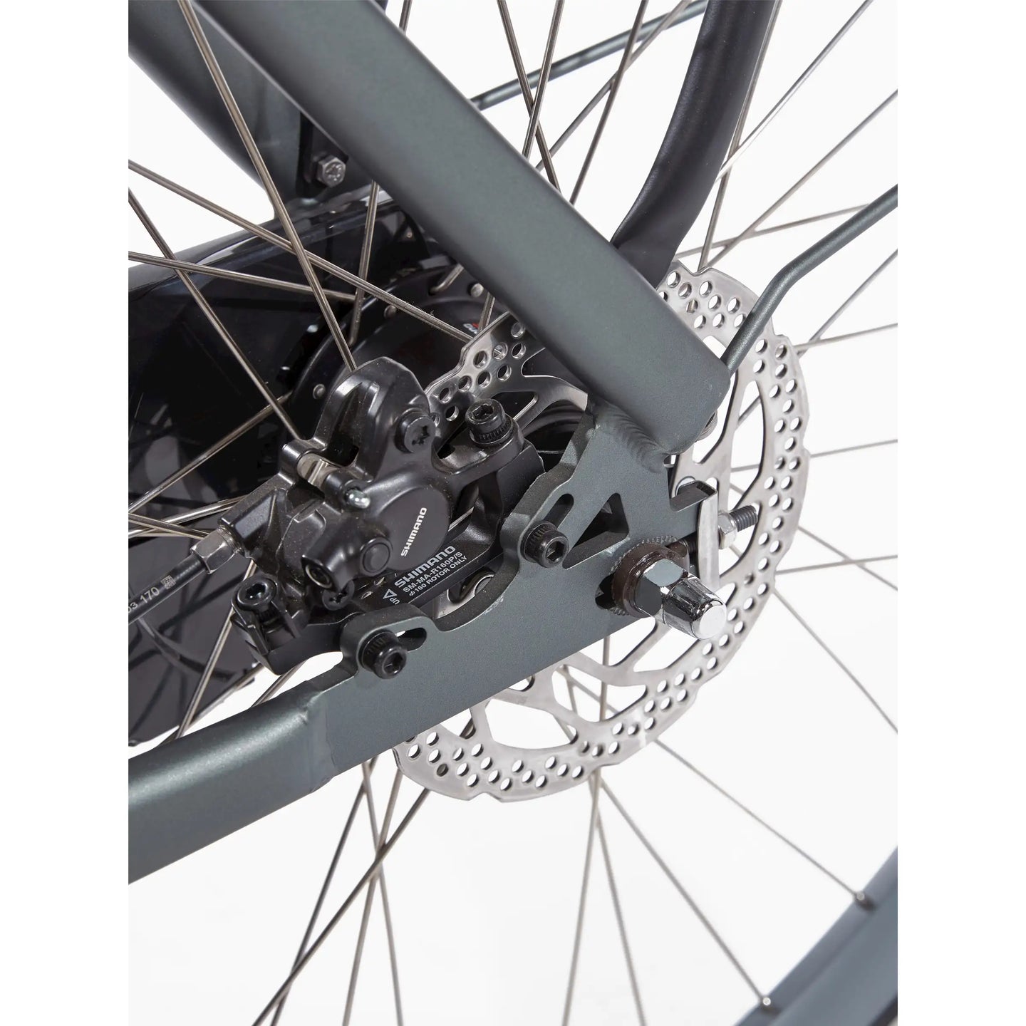 Cortina E-Nite MM SN7 2026 Dames