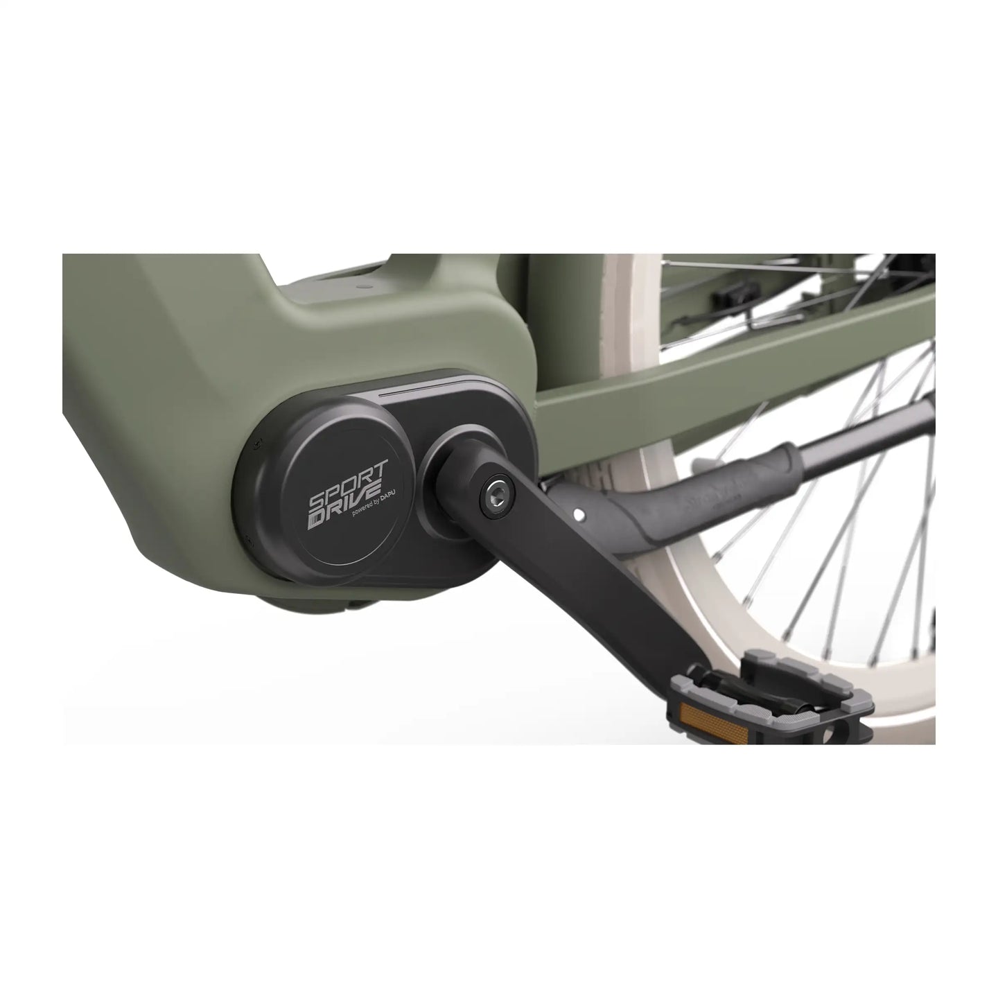 Cortina E-Nite MM SN7 2026 Dames