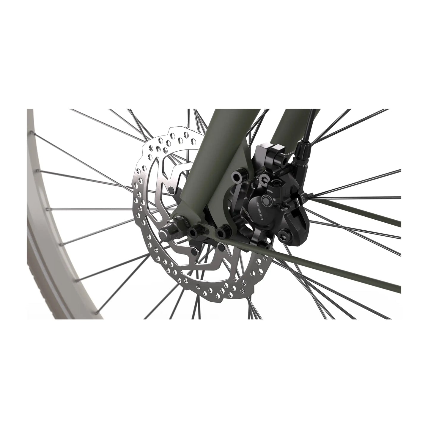 Cortina E-Nite MM SN7 2026 Dames