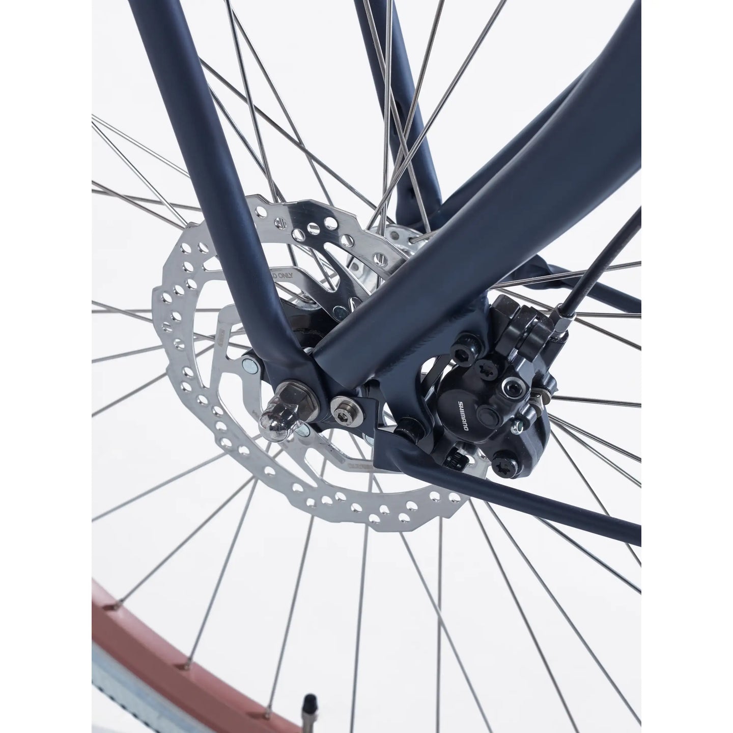 Cortina E-U4 Transport Denim Bosch AL MM DB7 2026 Dames