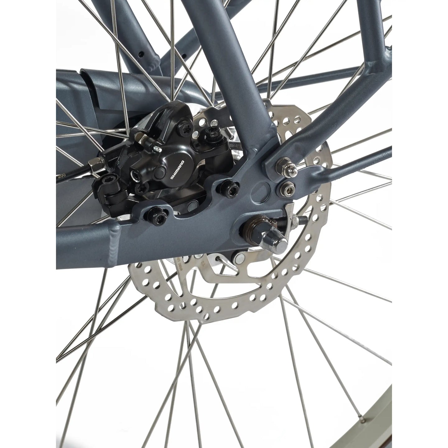 Cortina E-U4 Family DB7 AL MM 2026 Dames
