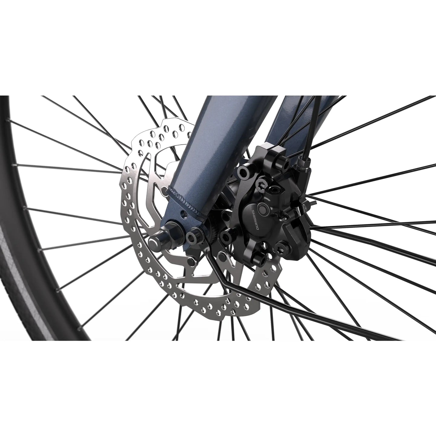 Cortina E-Tide MM N7 2025 Dames - Fietsenconcurrent.nl