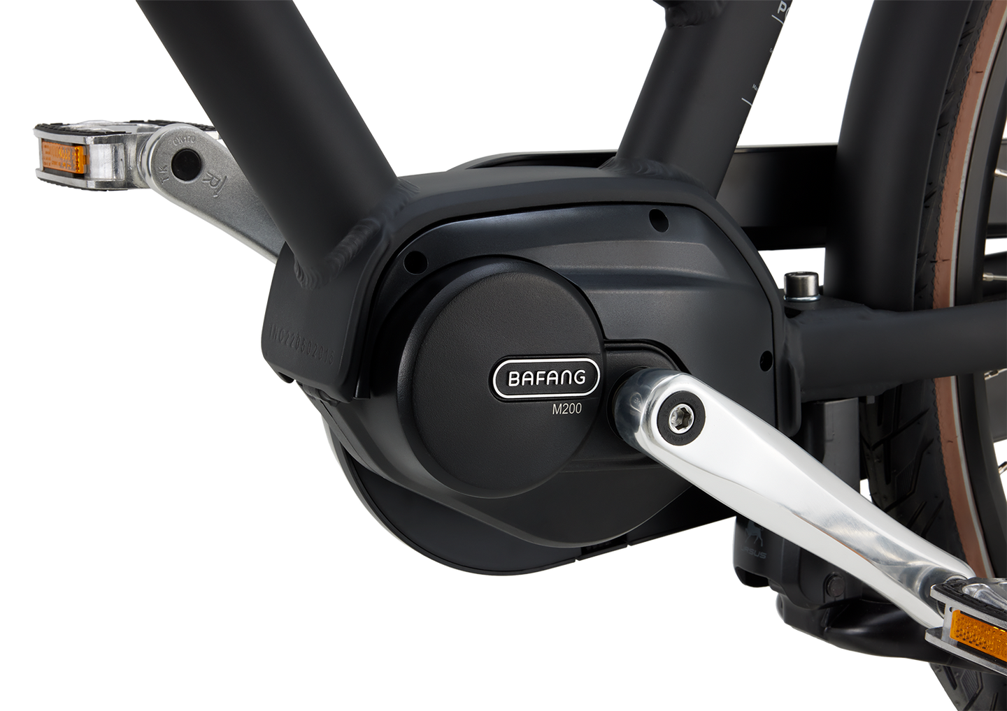 Popal Daily Dutch Prestige-E MM N7 2026 Dames