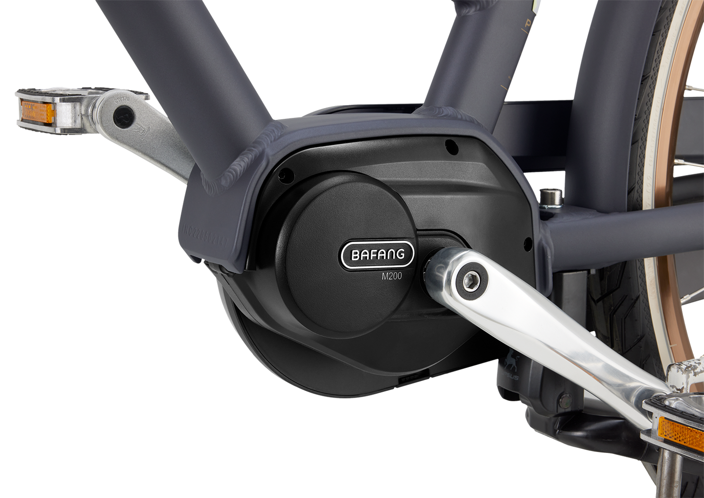 Popal Daily Dutch Prestige-E MM N7 2026 Dames