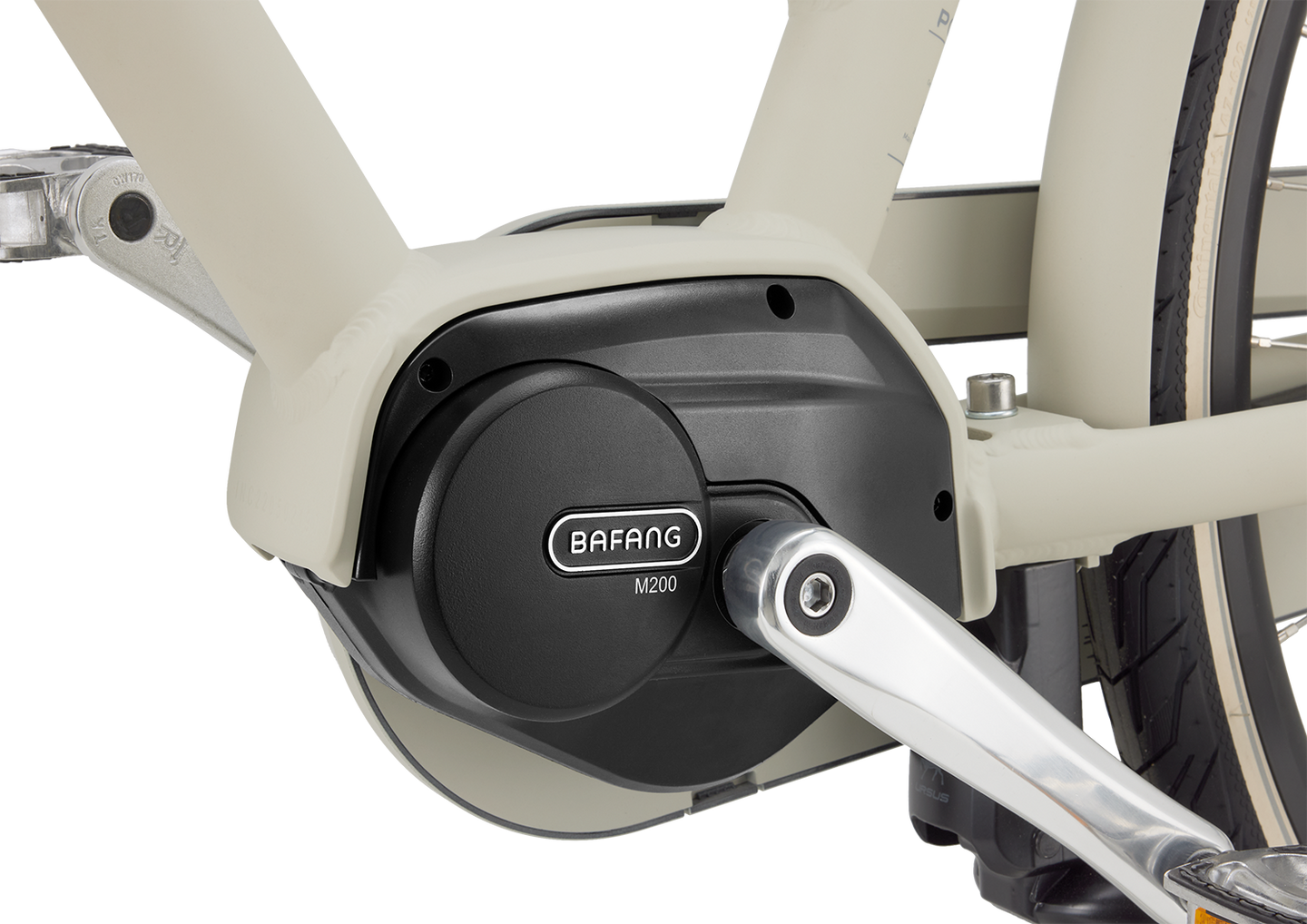 Popal Daily Dutch Prestige-E MM N7 2026 Dames