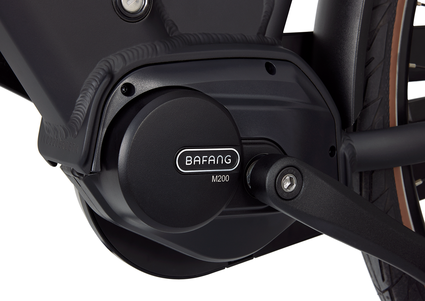 Popal Novel N7 MM 2026 Dames