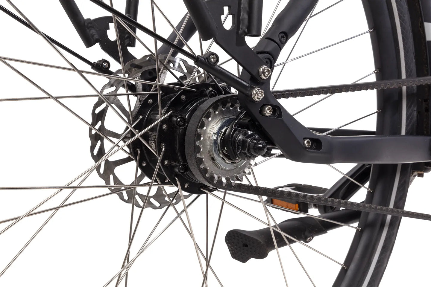 Popal ARC1+ 2026 Dames