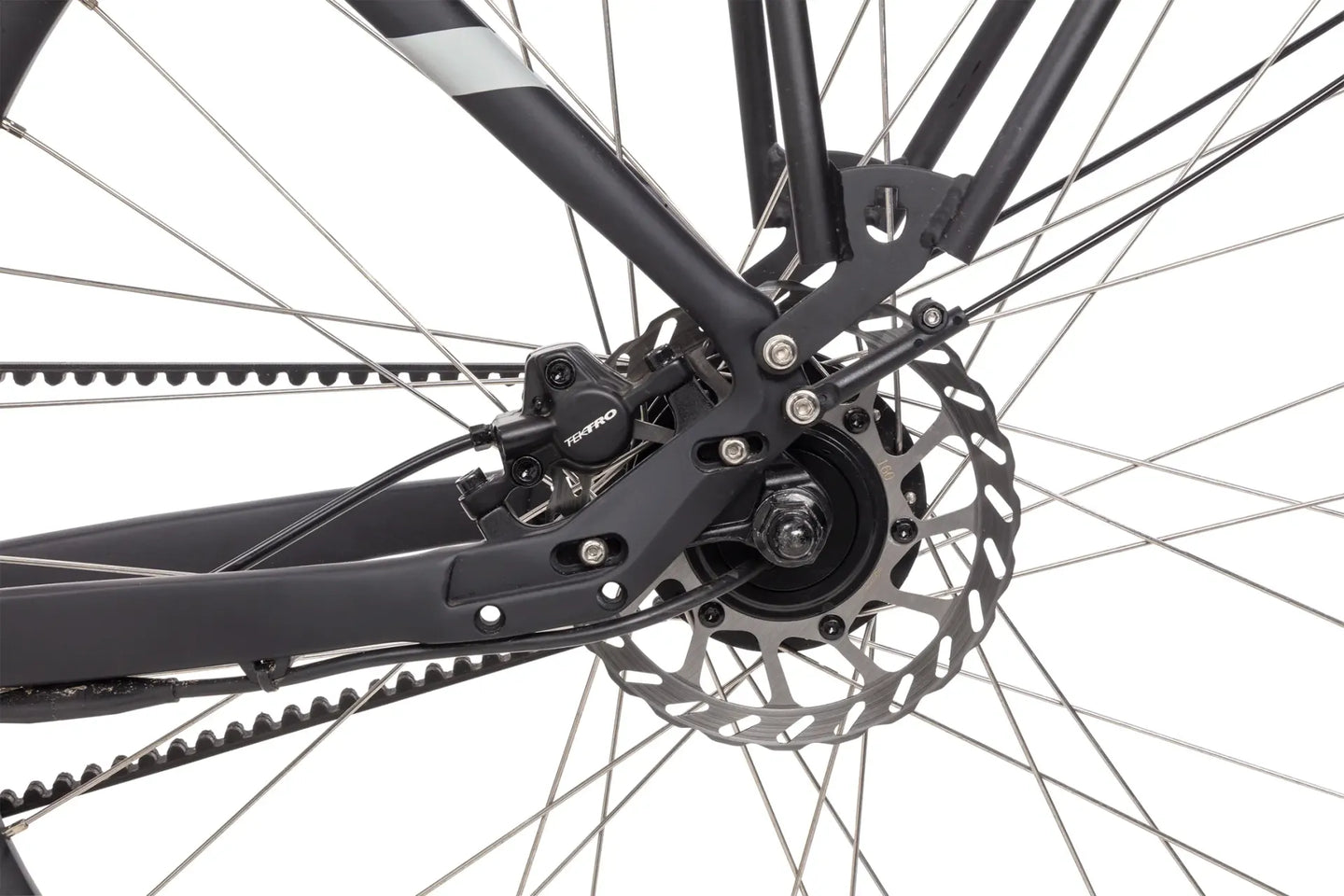 Popal ARC1+ 2026 Dames