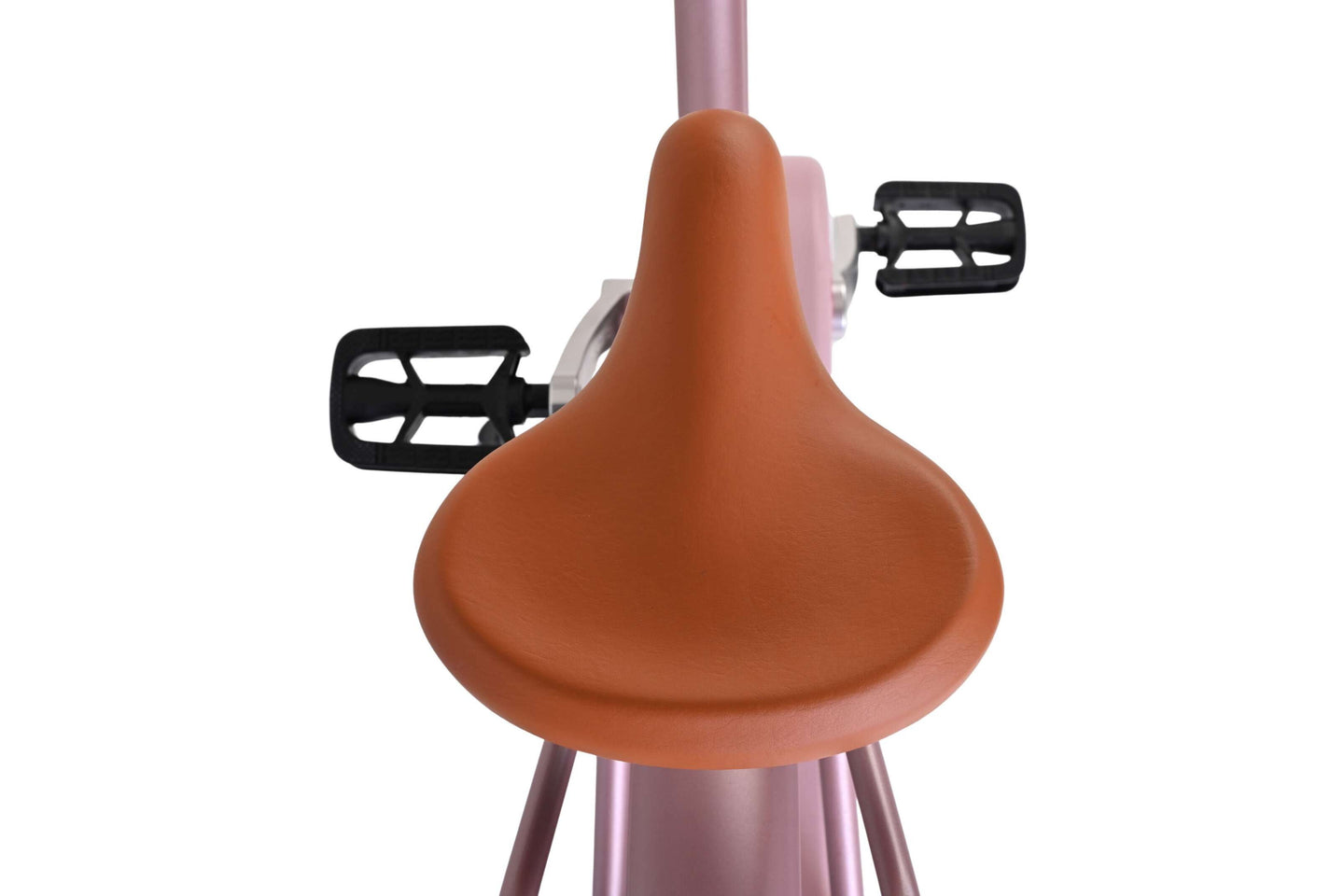 Volare Excellent 24 inch RN 2026 Meisjes