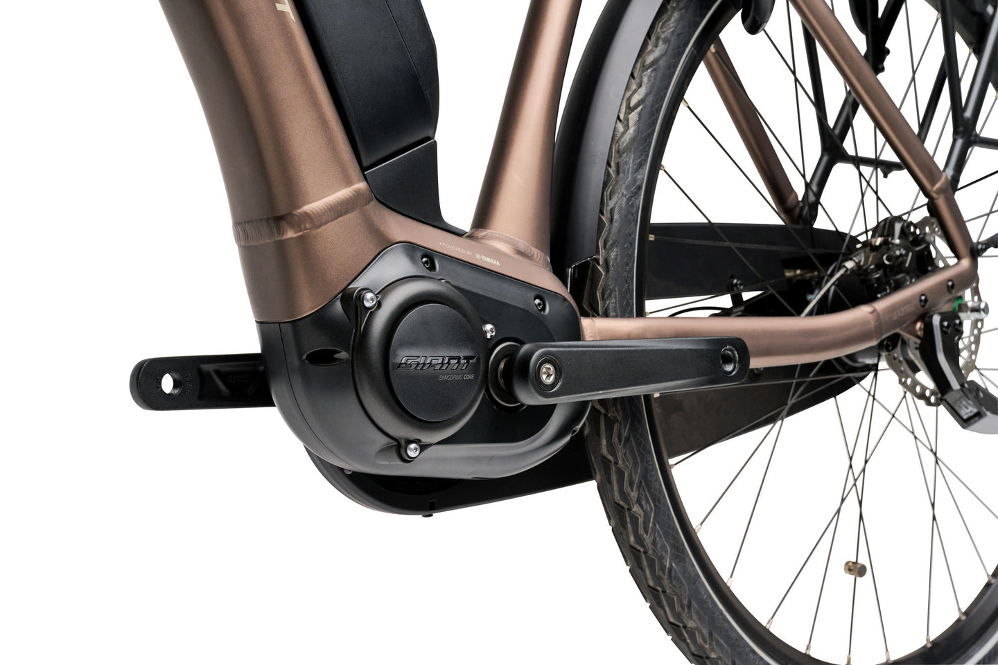 Giant Expression E+ 1 2025 Dames - Fietsenconcurrent.nl