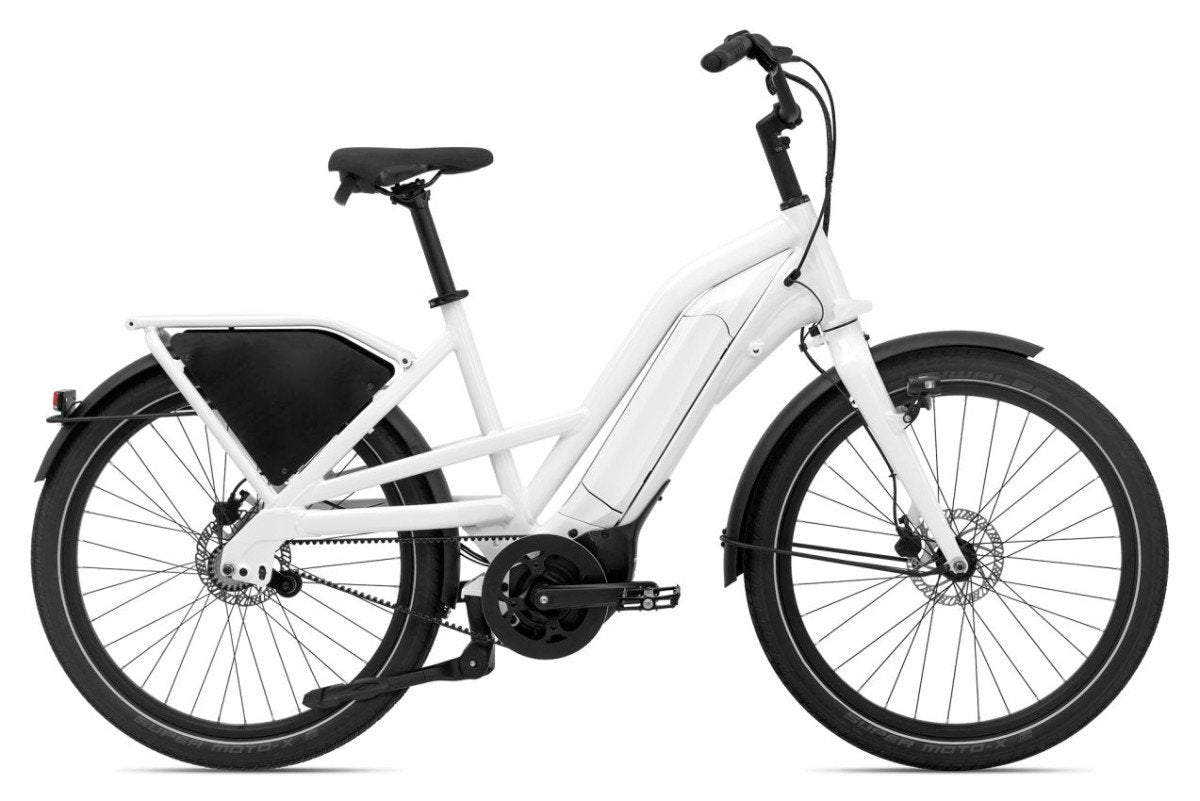 Giant Delivery E+ Dames SALE - Fietsenconcurrent.nl