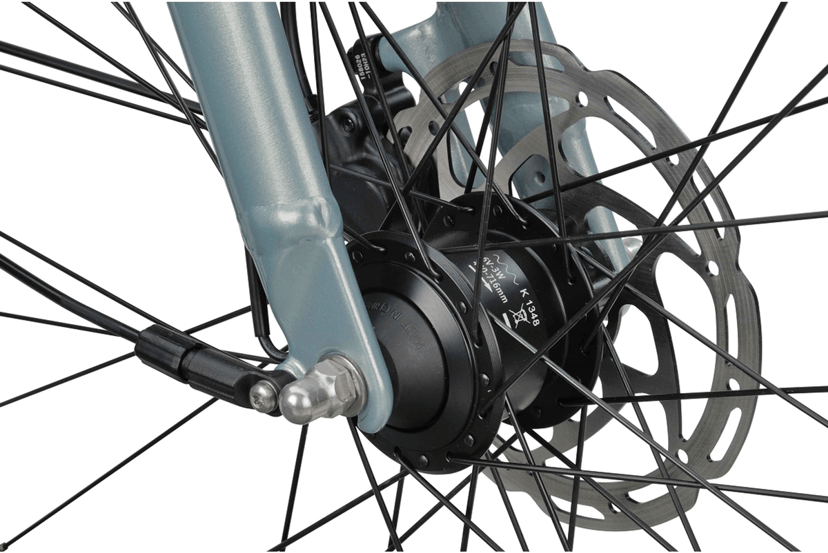 Batavus Dinsdag Exclusive N7 Dames SALE