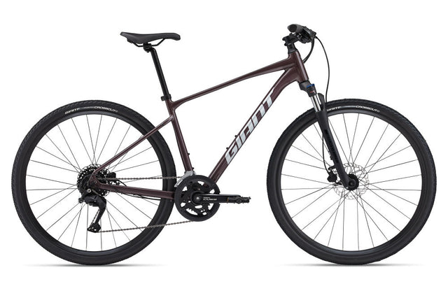 Giant Roam Disc 2 Heren - Fietsenconcurrent.nl